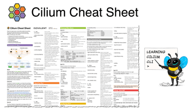 Cilium Cheat Sheet – Master the Cilium CLI to manage and configure your Kubernetes Network